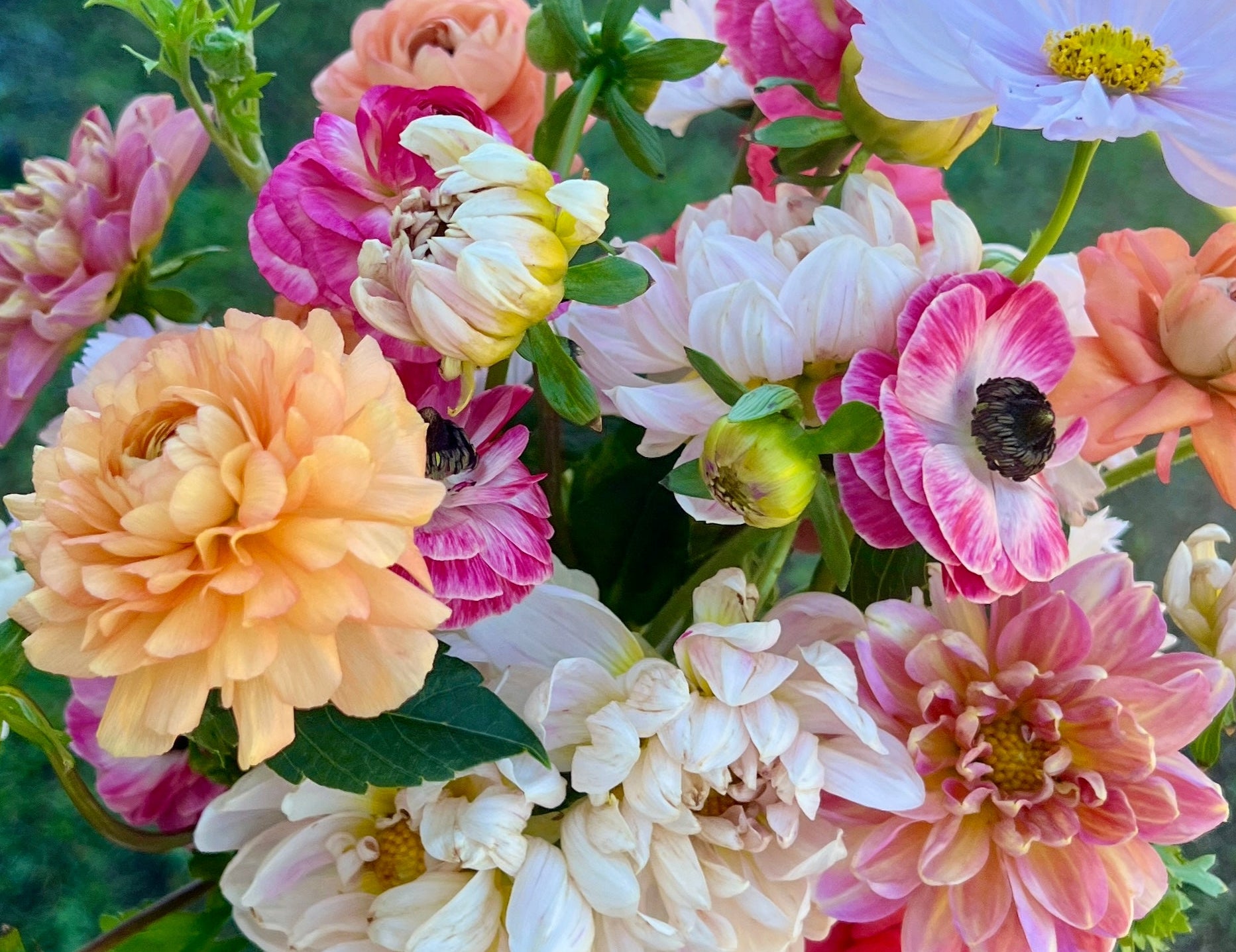 Bouquet of colorful flowers held by a person outdoors.